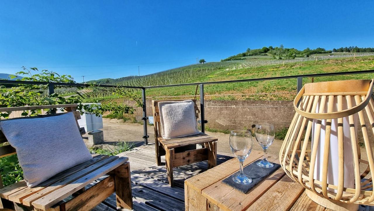 Aux Pieds Des Vignes Apartment Bergheim Exterior photo