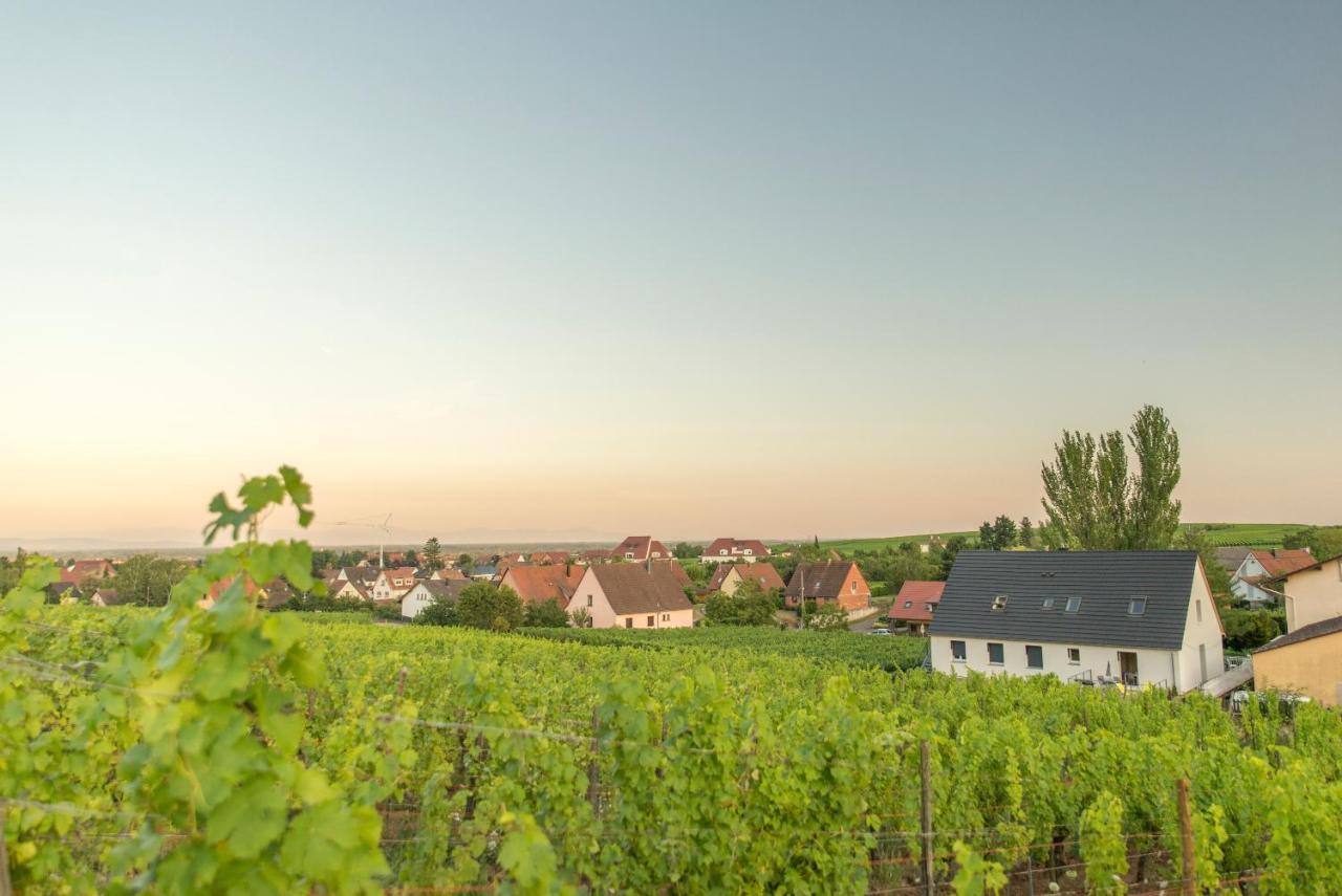 Aux Pieds Des Vignes Apartment Bergheim Exterior photo